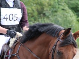 IMG_1505_web